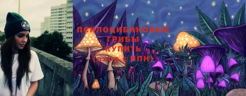 где можно купить наркотик  Ставрополь  Псилоцибиновые грибы MAGIC MUSHROOMS 