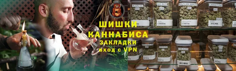 Шишки марихуана Amnesia  где можно купить наркотик  Ставрополь 